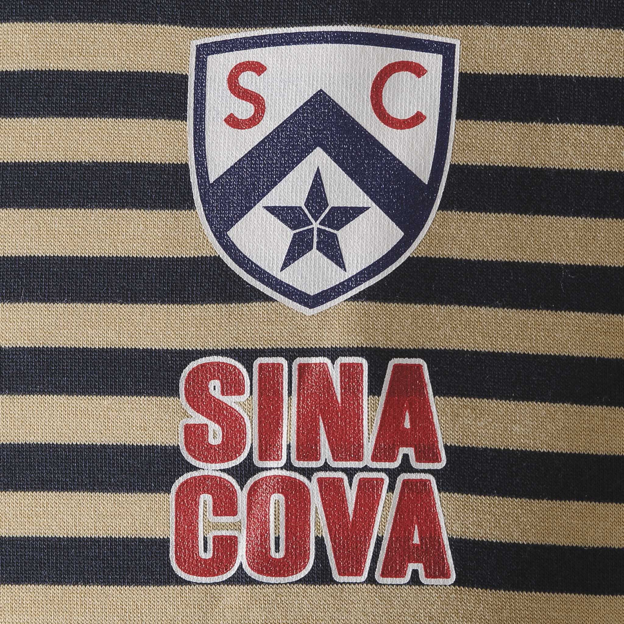 【公式】シナコバ (SINA COVA) ボーダー柄 タートルネック 長袖Tシャツ ユニセックス(男女兼用) 23250020