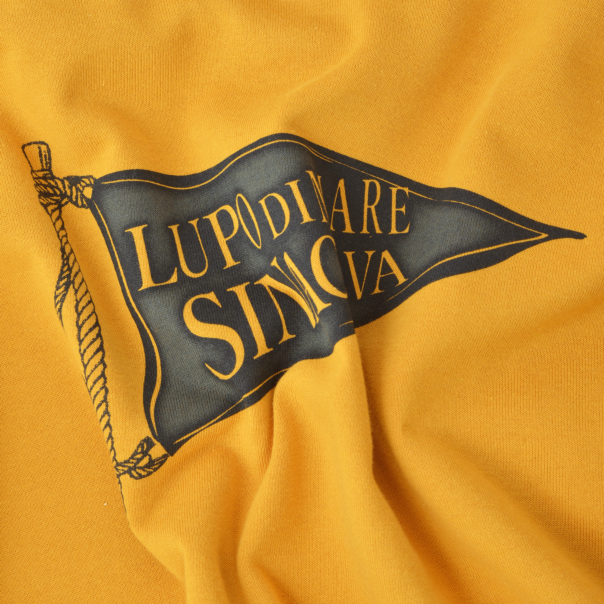 Pullover hoodie 26120010