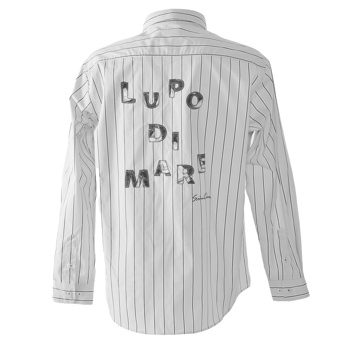 Long Sleeve Regular Collar Shirt 26224040