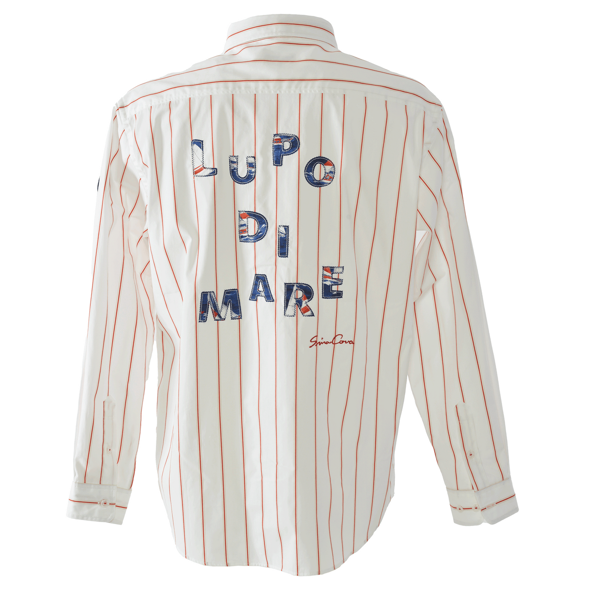 Long Sleeve Regular Collar Shirt 26224040
