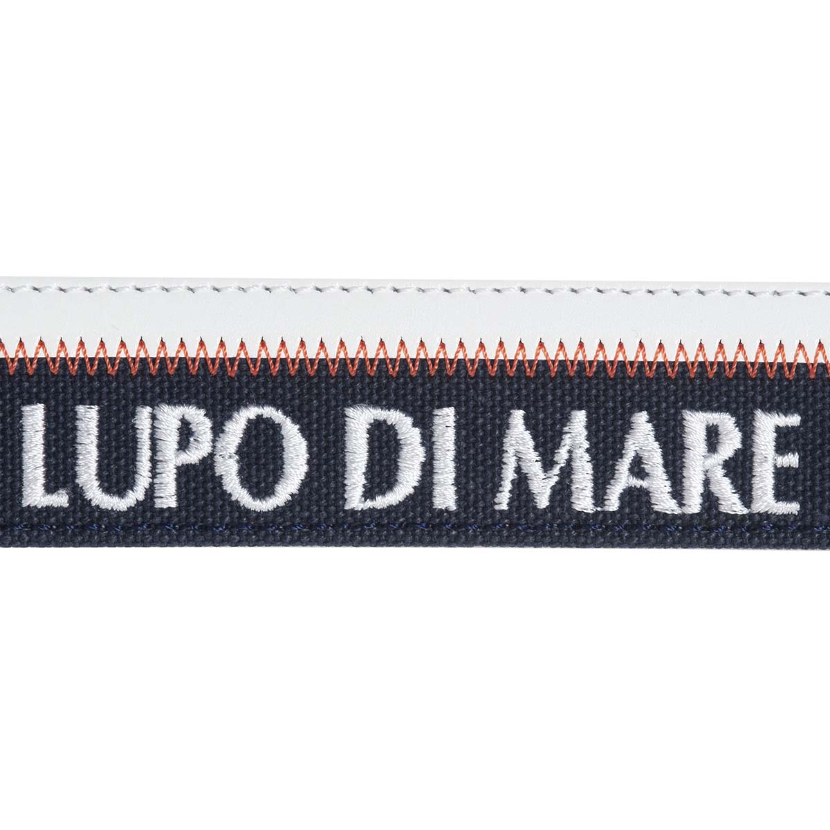 Belt 20176050