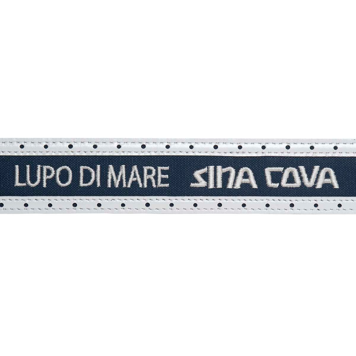 Belt 21176020