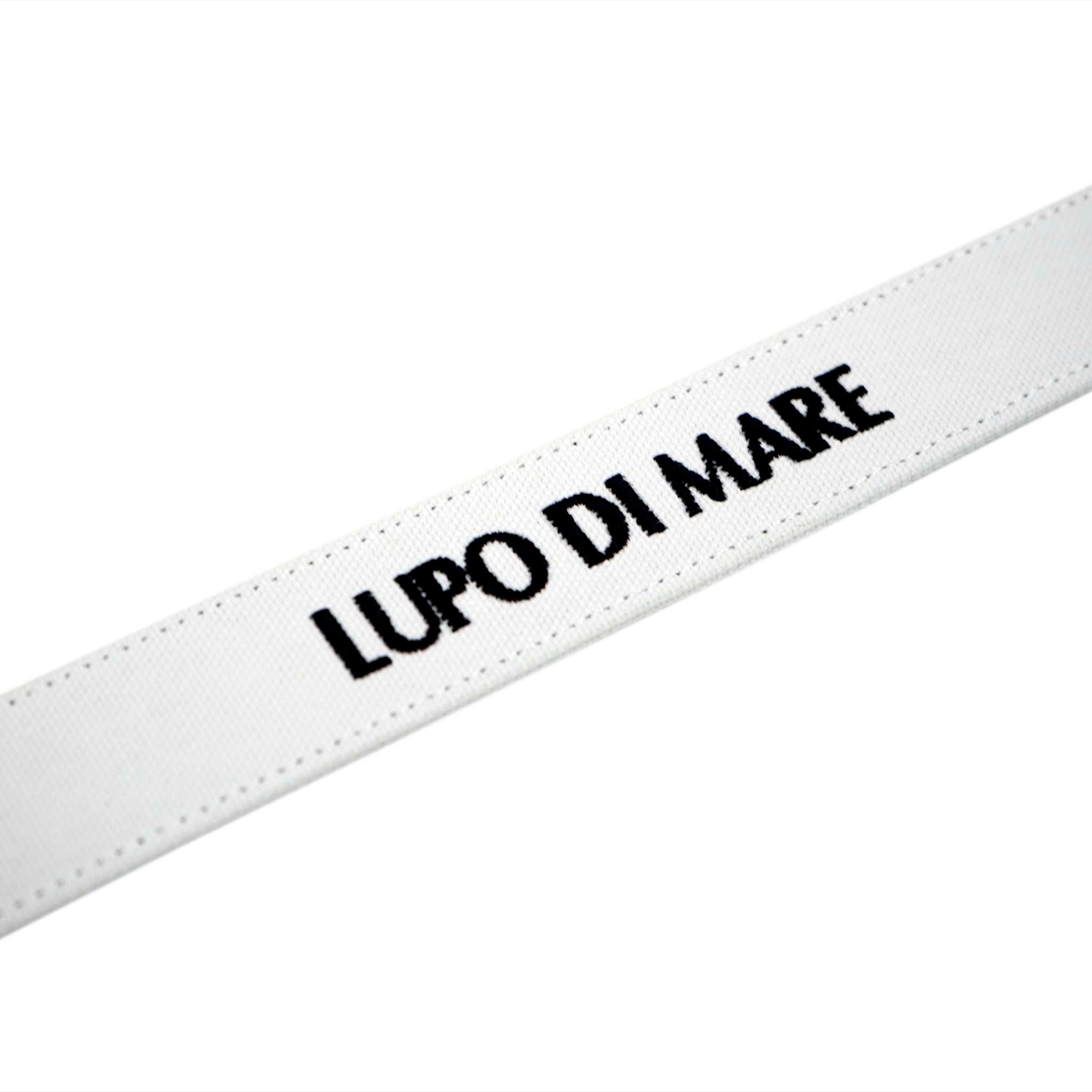 Reversible Belt 22176020