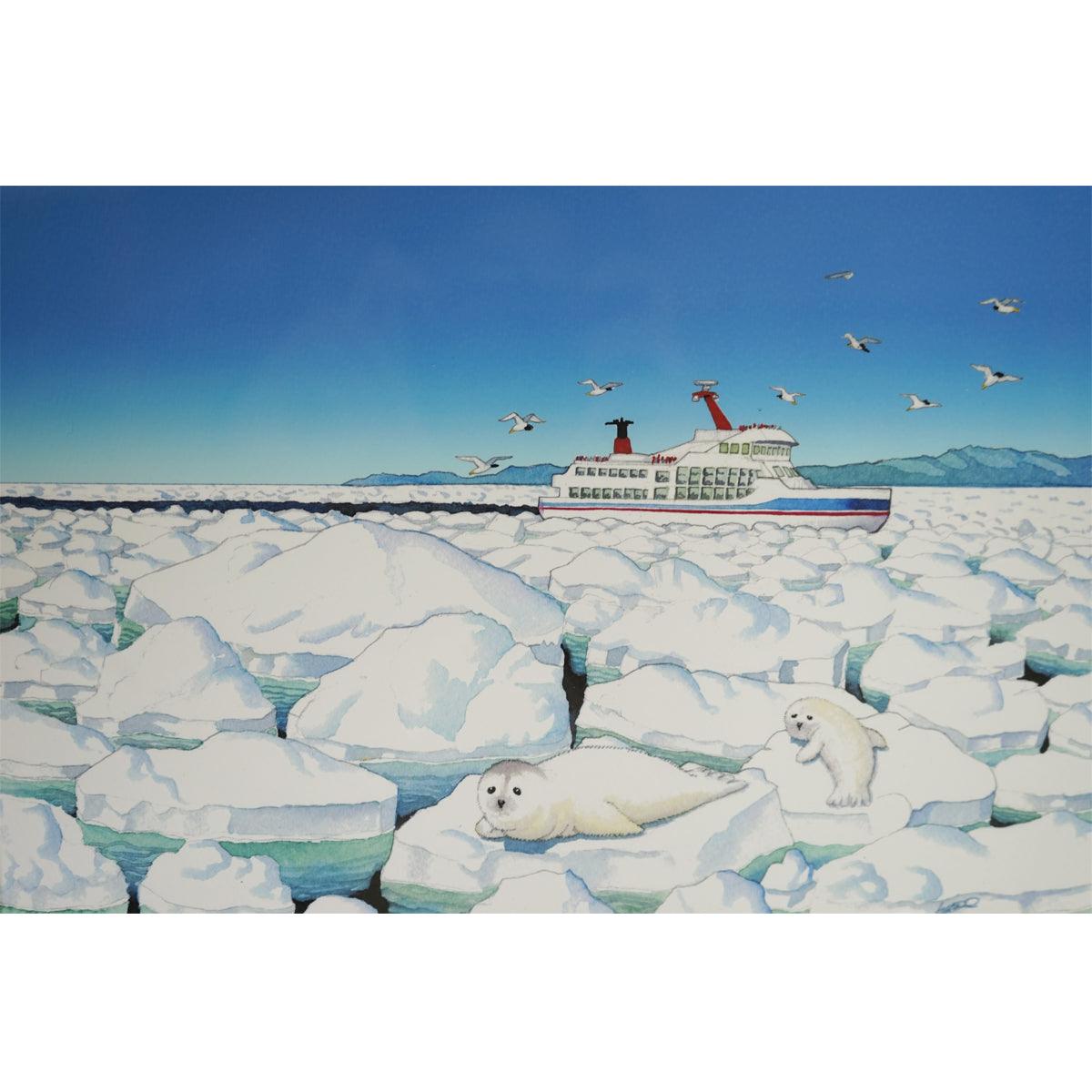 Tadami 『子アザラシS』 57000480 - SINA COVA