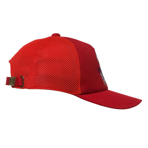 [Outlet] Cap 18177740