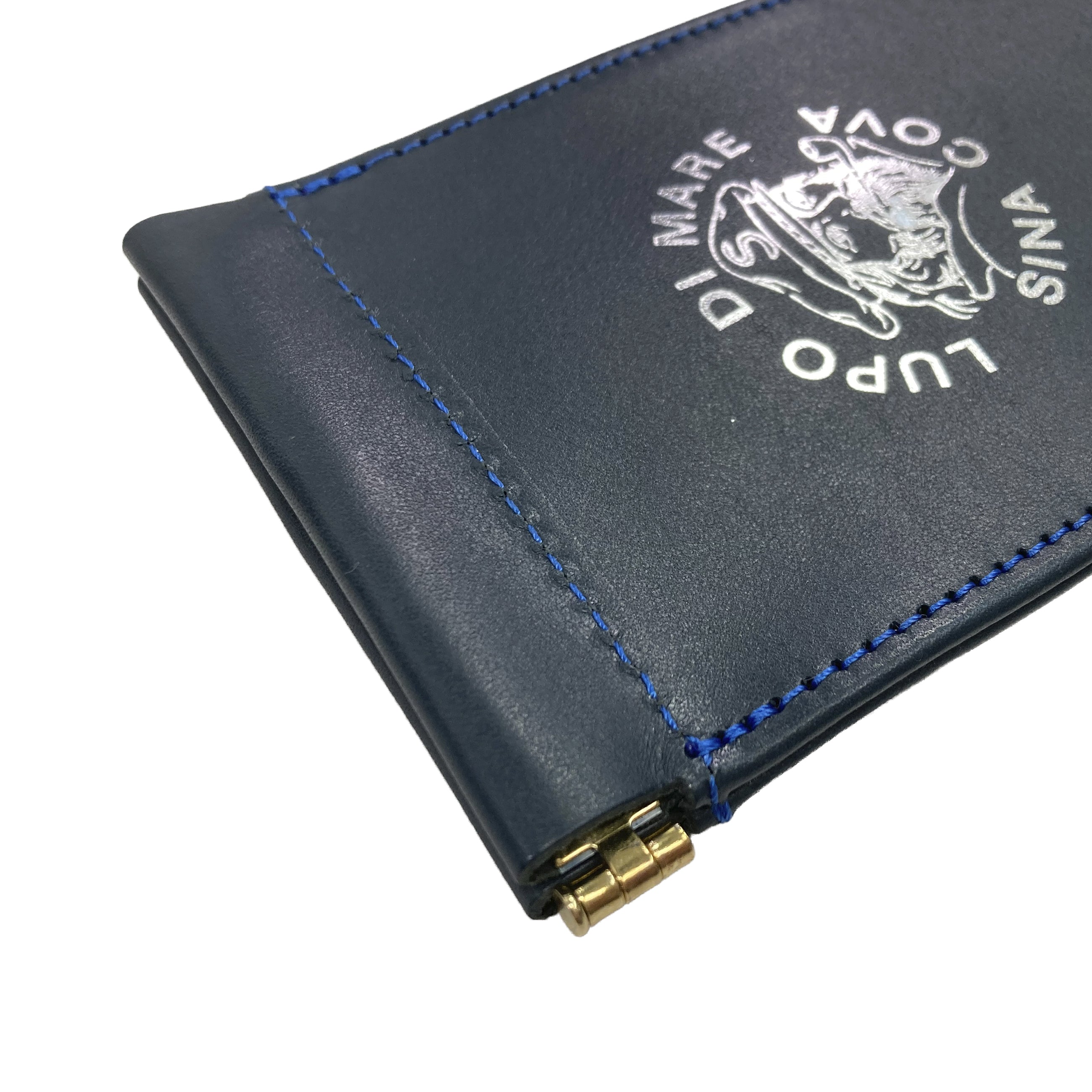 アイグラスレザーケース 25276810