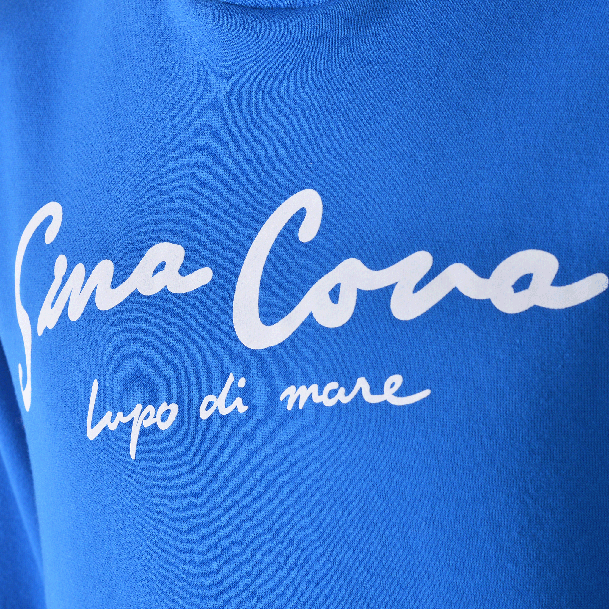 [Official] SINA COVA Hooded Pullover Hoodie (Fleece Lining) Unisex (Unisex) 24210060