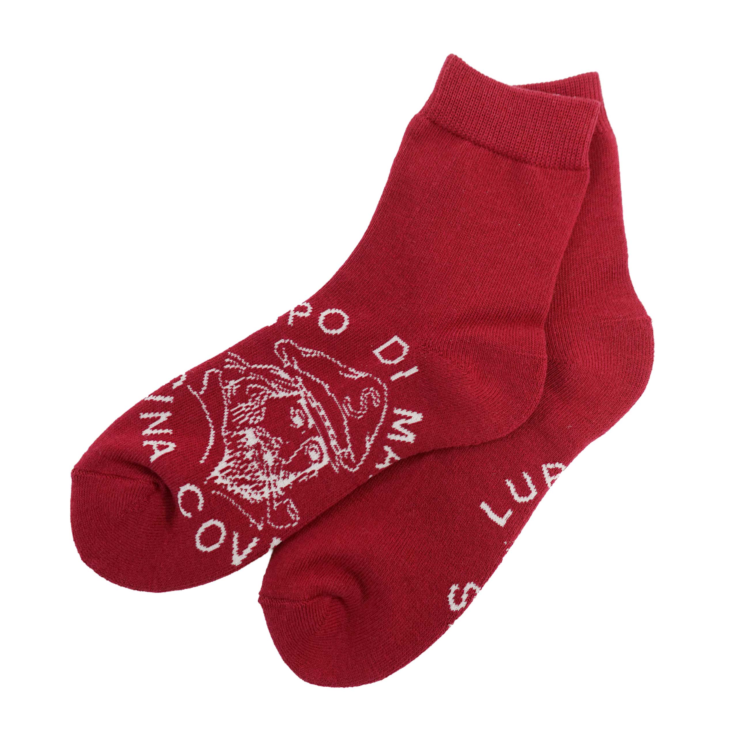 Socks (25cm-27cm) 26277450